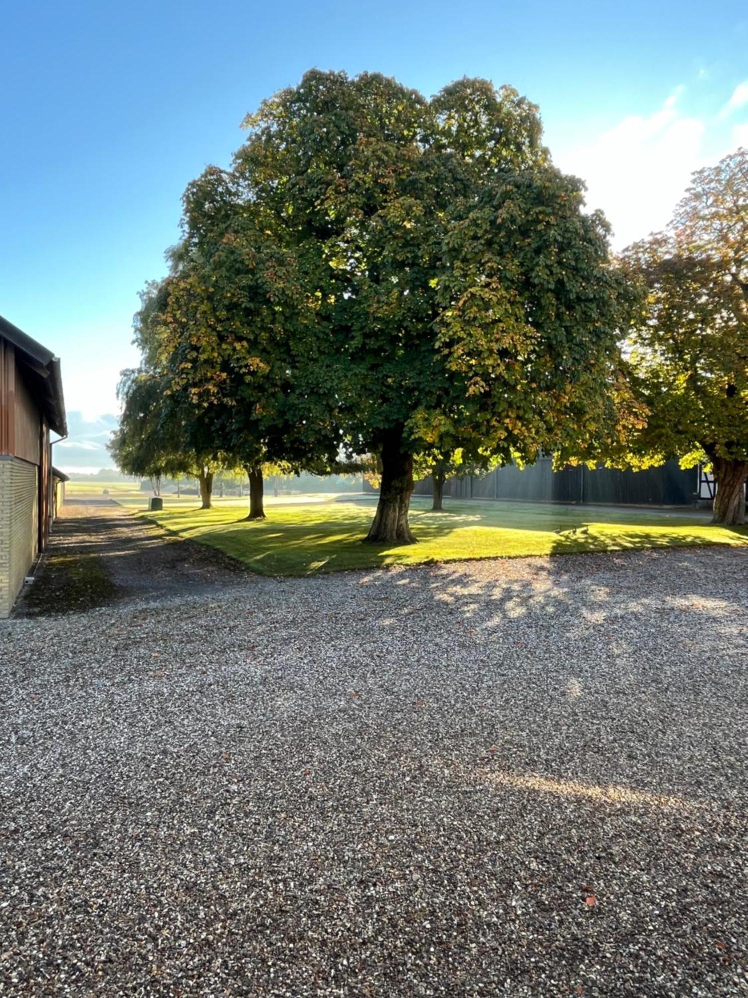 Vaerelse Ved Nykobing F. Apartment Nykobing Falster